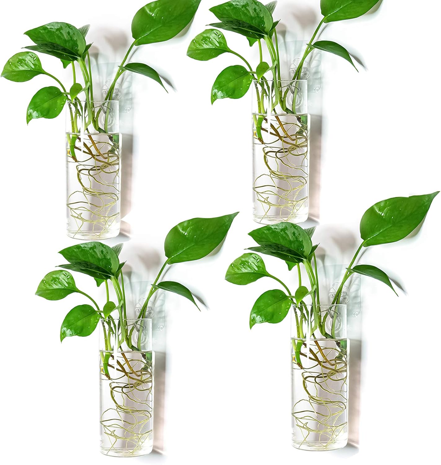 Glass Tube Wall Planter Propagation Station - 4
