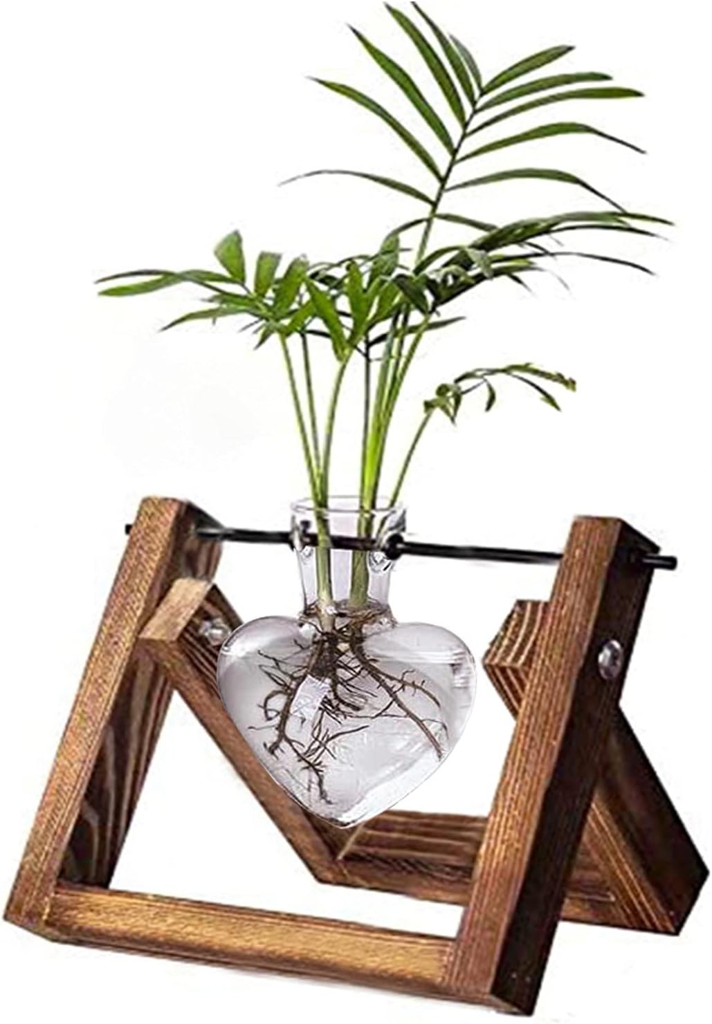 Terrarium with Wooden Stand, Desktop Propagation Station, Air