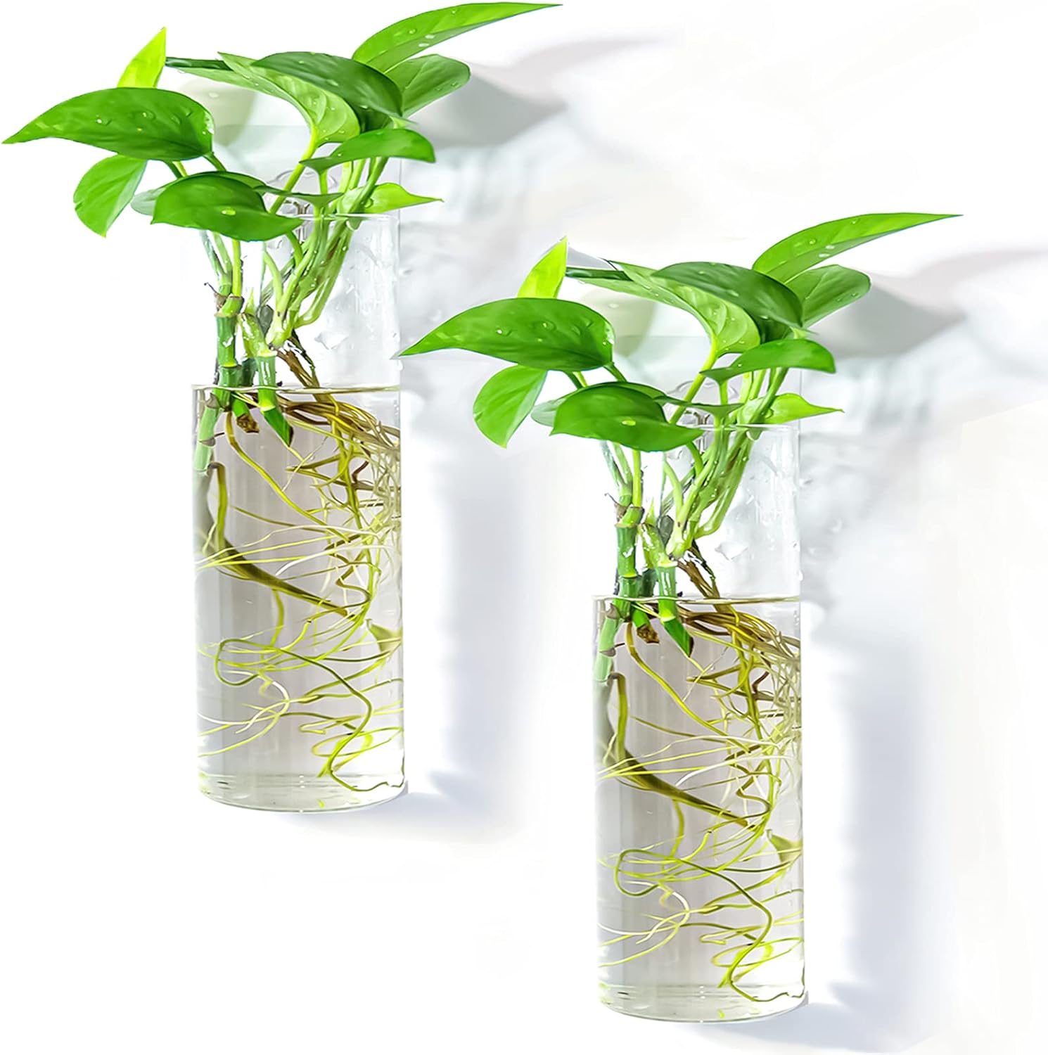 2 Pack Wall Hanging Planters Glass Terrariums -