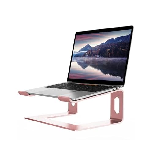 ALASHI Laptop Stand for Desk, Aluminum Computer Riser,