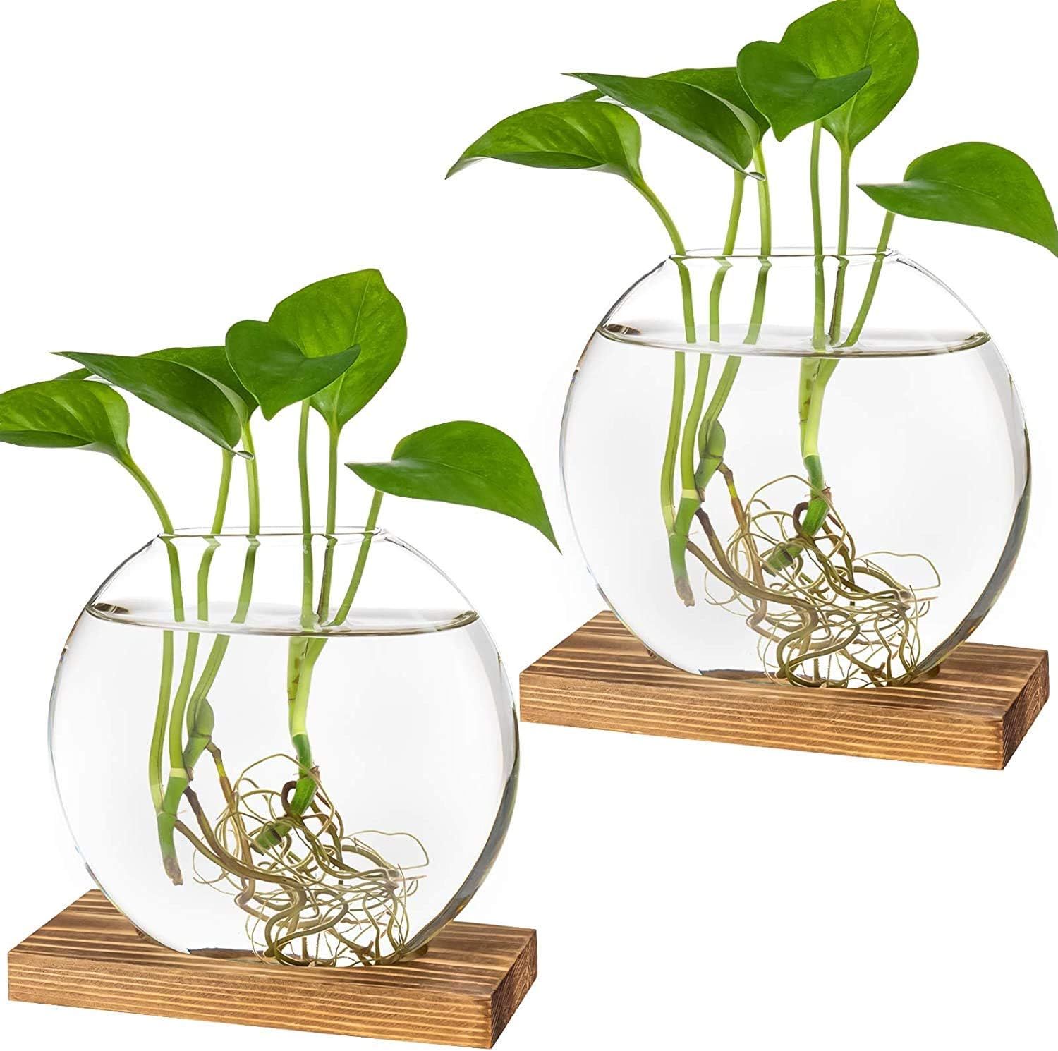 Round Glass Desktop Planter with Wooden Stand -