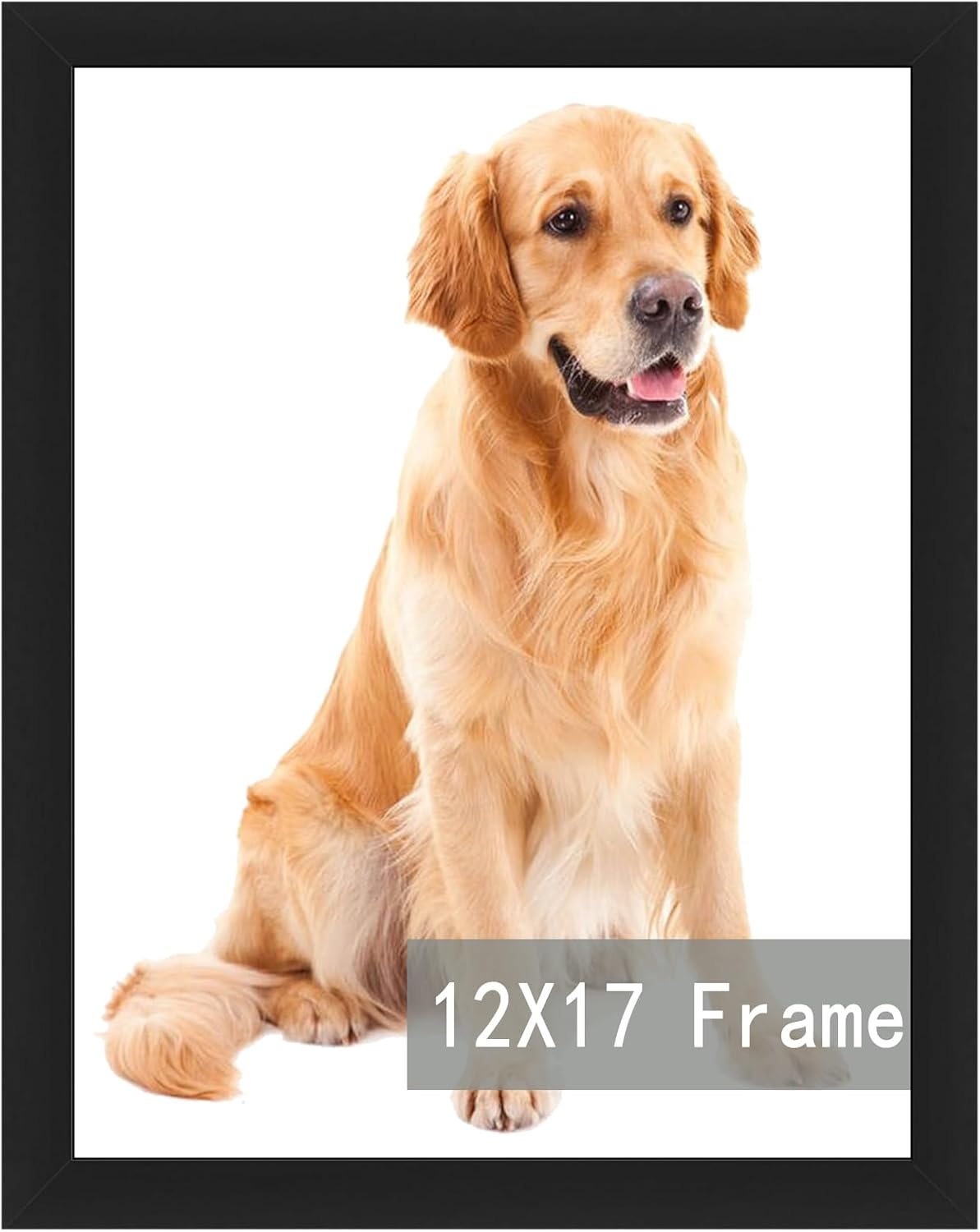 RUN HELIX 12x17 Black Picture Frame with Plexiglass,