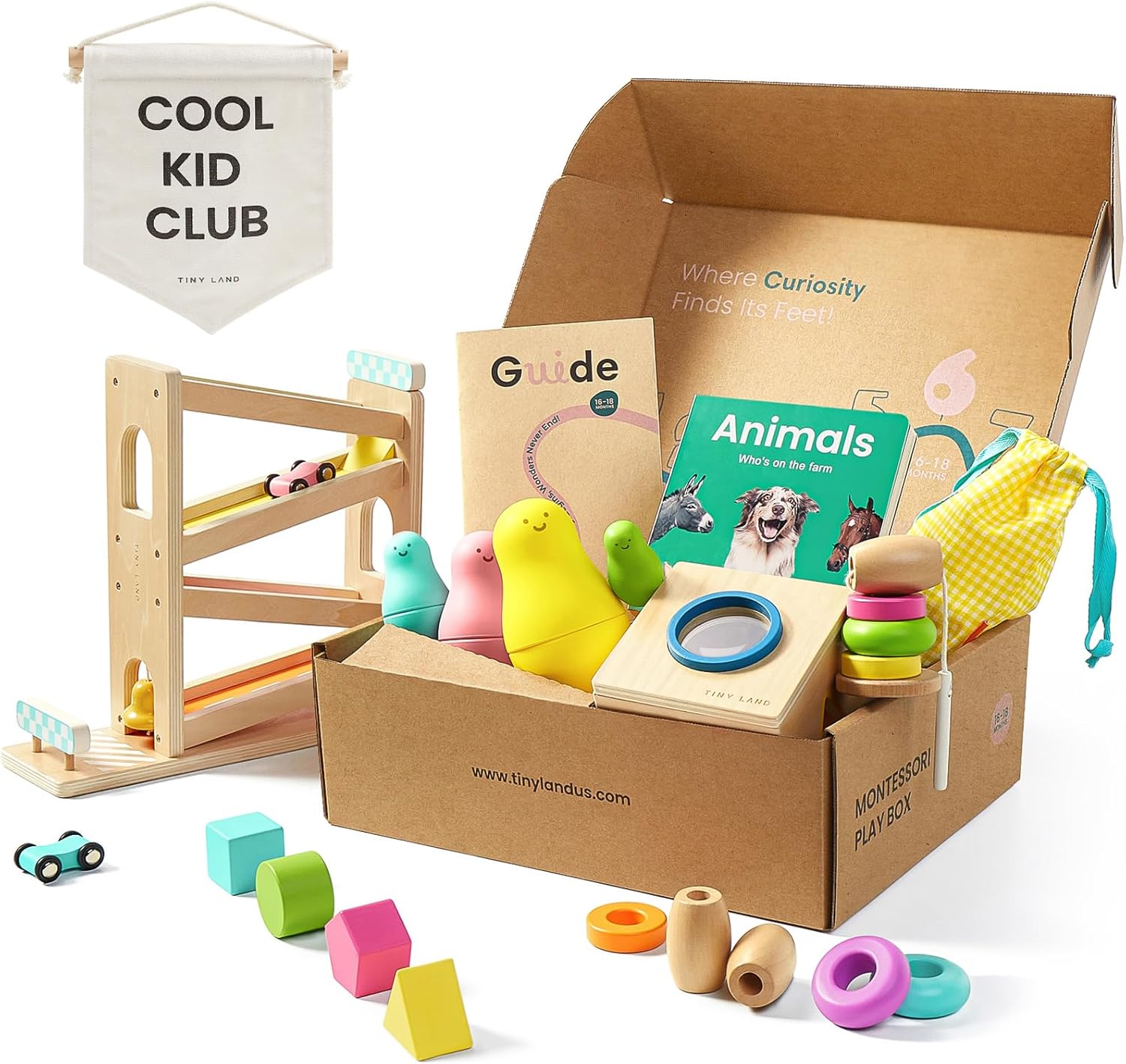 Tiny Land Montessori Toy Set for Baby 16-18