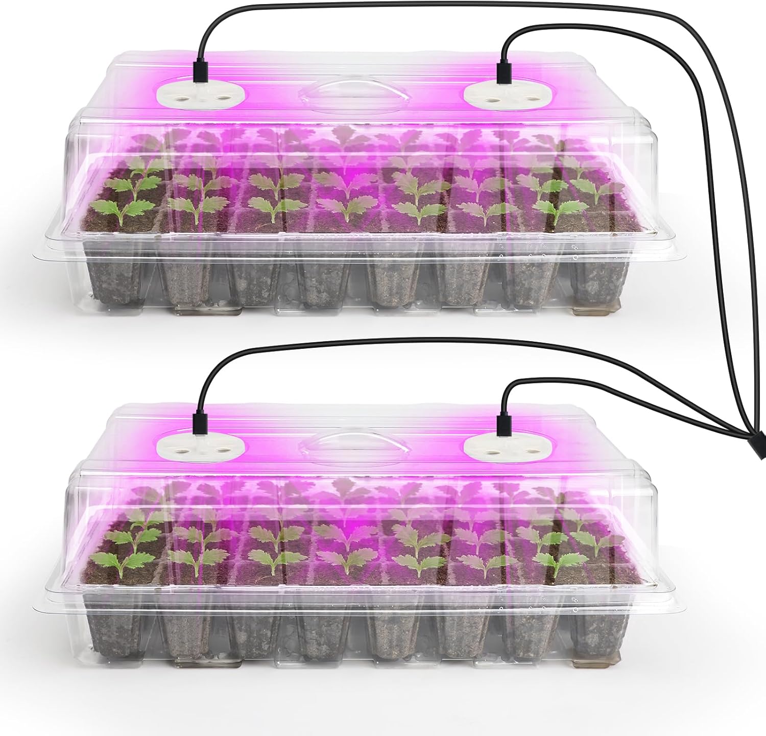 Bonviee 2-Pack Seed Starter Tray with Plant Light,